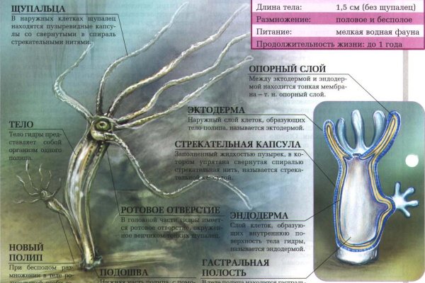 Кракен это современный даркнет маркет плейс