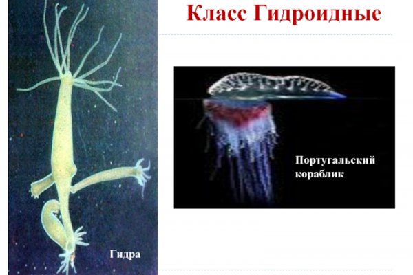 Не могу зайти в аккаунт кракен