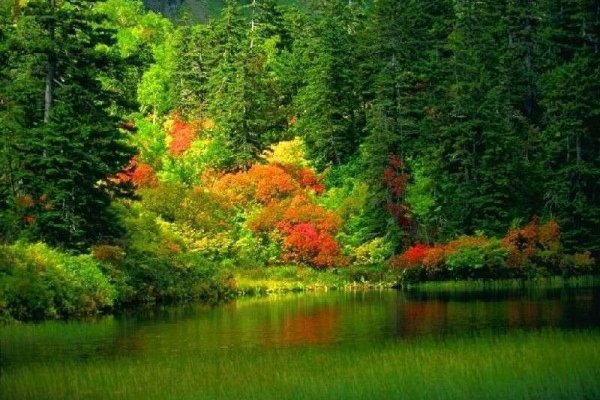 Кракен площадка что это