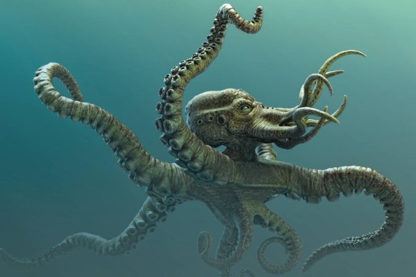 Kraken13 at сайт