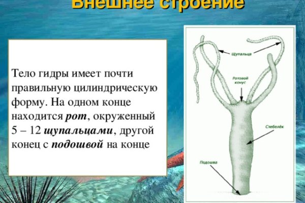 Кракен сайт ссылки актуальные