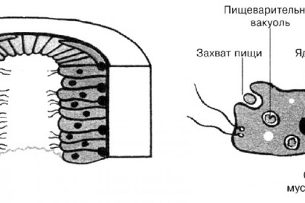 Оригинальная ссылка на кракен